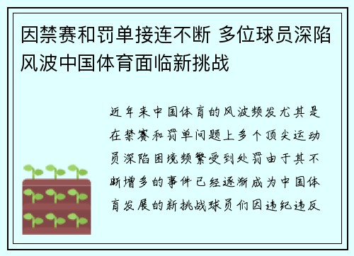 因禁赛和罚单接连不断 多位球员深陷风波中国体育面临新挑战